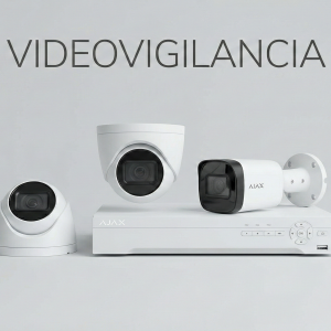 Videovigilancia
